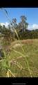 1528 4TH Court - Photo 9