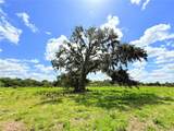 2170 Black Hammock Road - Photo 21