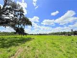 2170 Black Hammock Road - Photo 22