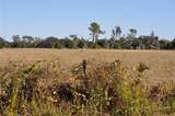 504 Tipton Road - Photo 10