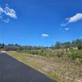 1836 Hilochee Ridge Road - Photo 5