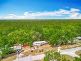 47611 Hibiscus Road - Photo 16