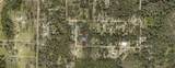  Orange Blossom Lane - Photo 3