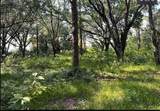  Sr-19 - Photo 10