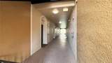 6434 Cava Alta Drive - Photo 36