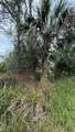  Littlefield Lane - Photo 5