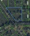 1316 Lark Street - Photo 1