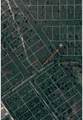 1316 Lark Street - Photo 7