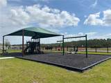 2980 Waterlily Way - Photo 8