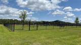 2980 Waterlily Way - Photo 9
