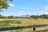 13124 Filly Court - Photo 51