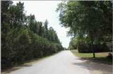  Bill Collins Road - Photo 2