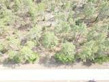 Lot 20 Shamrock Avenue - Photo 2