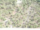 Lot 20 Shamrock Avenue - Photo 3