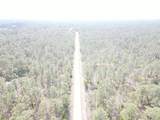 Lot 20 Shamrock Avenue - Photo 4