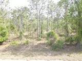 Lot 20 Shamrock Avenue - Photo 6