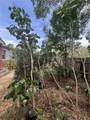7506 Mott Avenue - Photo 38