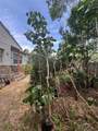 7506 Mott Avenue - Photo 39