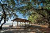 2423 Datura Loop - Photo 41