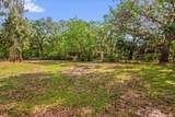 25046 Celestial Street - Photo 5
