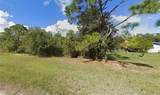204 Palm Avenue - Photo 2