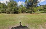 204 Palm Avenue - Photo 3