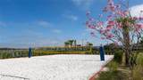 2916 Simile Street - Photo 47