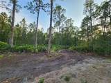 LOT 8 Tamarac Street - Photo 3