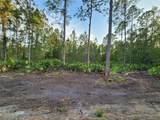 LOT 8 Tamarac Street - Photo 4