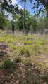 131 Bonita Parkway - Photo 3