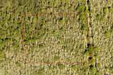 7108-01-05-0120 - Photo 1