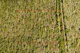  7108-01-05-0010 - Photo 2