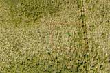  7108-01-07-0010 - Photo 1