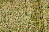  7108-01-07-0010 - Photo 2