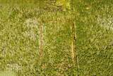  7108-01-13-0010 - Photo 1