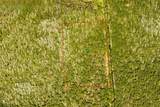  7108-01-13-0010 - Photo 3
