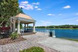 11908 Fiore Drive - Photo 20