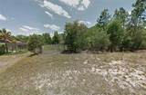 2380 Menores Drive - Photo 8