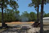 11499 Sedate Street - Photo 14