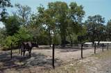 11499 Sedate Street - Photo 3