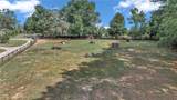 2299 135TH Lane - Photo 3