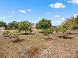 2002 Adair Street - Photo 45