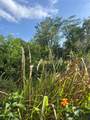  Harvest Lane - Photo 3