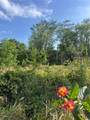  Harvest Lane - Photo 4