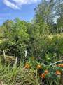  Harvest Lane - Photo 5