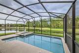 2999 Buccaneer Palm Road - Photo 3