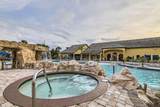 2999 Buccaneer Palm Road - Photo 49
