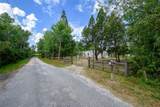 3960 Doe Drive - Photo 14