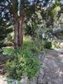 820 Bayou Avenue - Photo 15