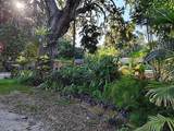 820 Bayou Avenue - Photo 4